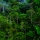 6 ways Brazil is saving the Amazon